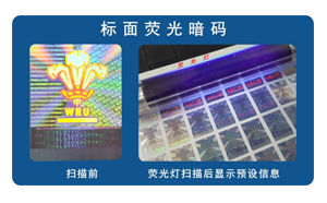 化学草莓视频下载链接