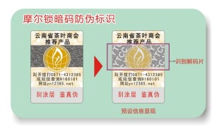 激光草莓视频下载链接标签